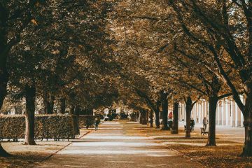 Container Für Flüchtlinge Gelsenkirchen