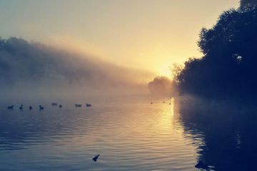 Container Für Flüchtlinge Mülheim