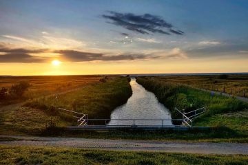 Container Für Flüchtlinge Oldenburg