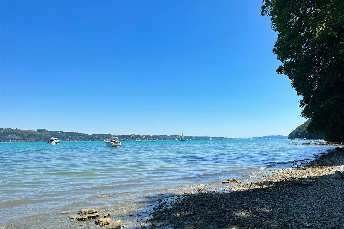 Container Für Flüchtlinge Ludwigshafen